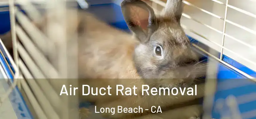 Air Duct Rat Removal Long Beach - CA
