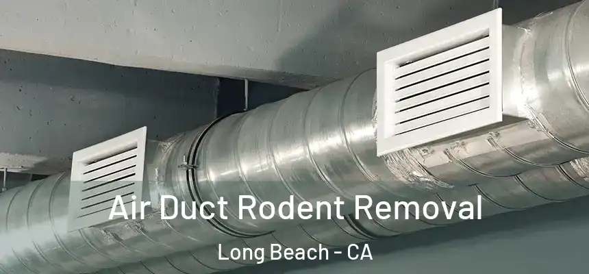  Air Duct Rodent Removal Long Beach - CA