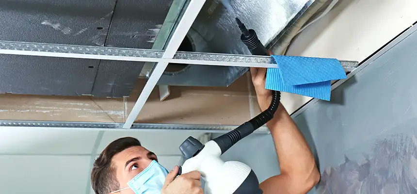 Our Air Duct Rodent Removal Services in Long Beach, CA