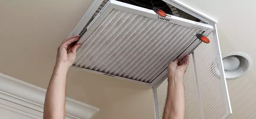 Our Insect Removal from Air Ducts Services in Long Beach, CA