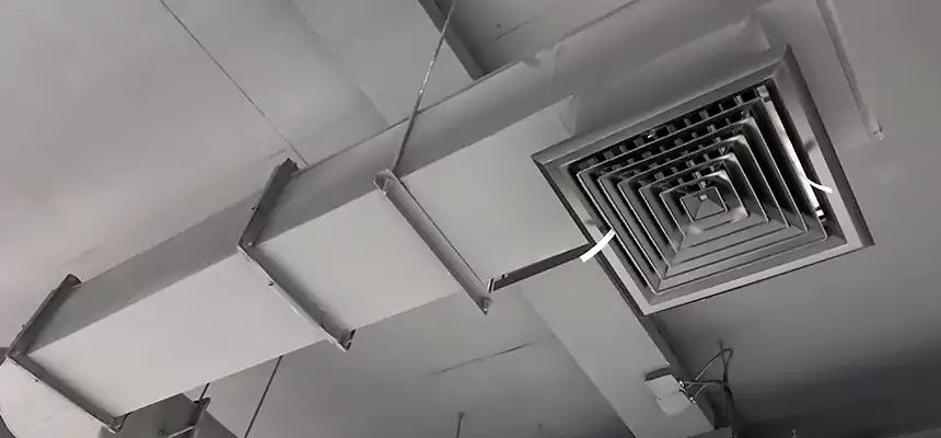 Our Pest Removal From Ducts Services in Long Beach, CA