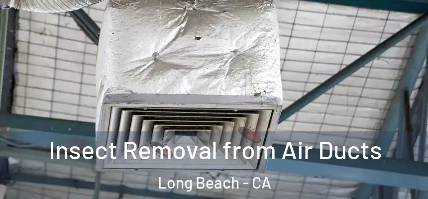  Insect Removal from Air Ducts Long Beach - CA