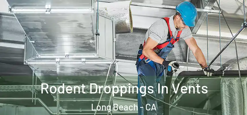  Rodent Droppings In Vents Long Beach - CA