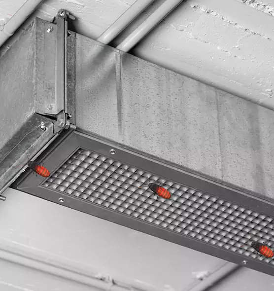 About Air Duct Cockroach Removal in Long Beach, CA