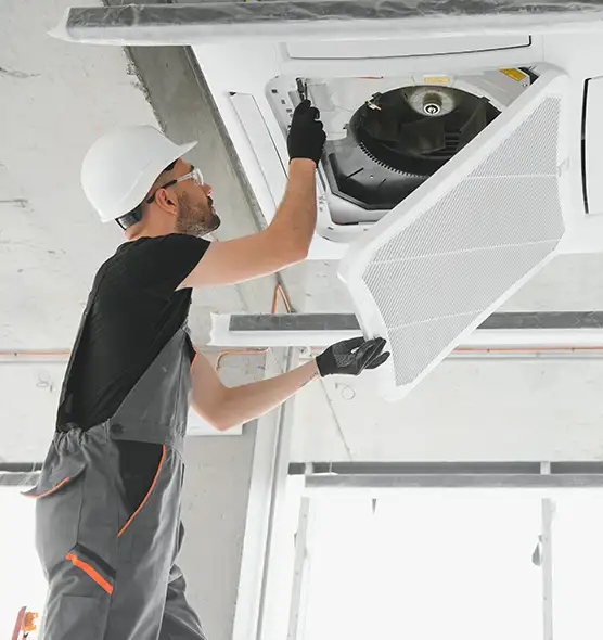 About Air Duct Rodent Removal in Long Beach, CA