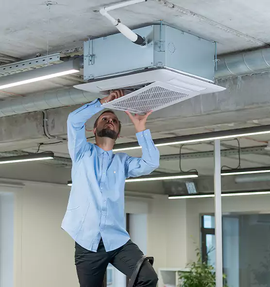 Advanced Rodent Droppings In Vents in Long Beach, CA
