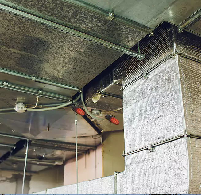 Why Homeowners & Businesses Trust Us in Long Beach, CA?