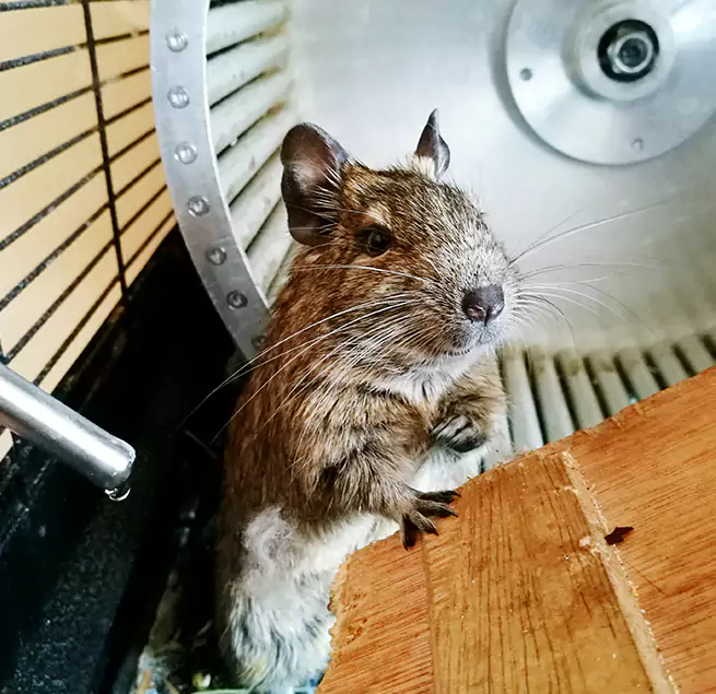 Why Homeowners & Businesses Trust Us Long Beach, CA