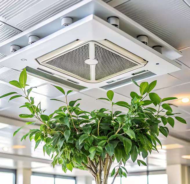 Why Homeowners & Businesses Trust Us in Long Beach, CA